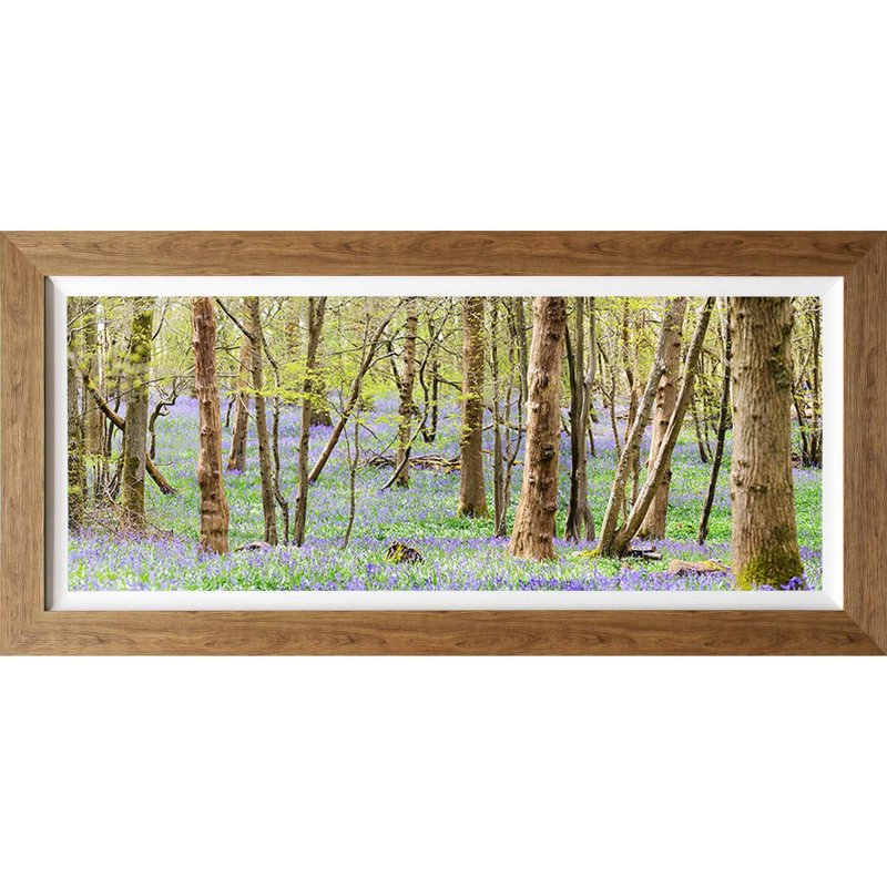 Complete Colour Ltd Scenes and Landscapes - Bluebell Woods 12-472 sSBL