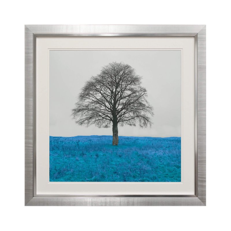 Complete Colour Ltd Scenes and Landscapes - Lone Tree ll