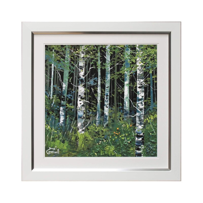 Complete Colour Ltd Scenes and Landscapes - Silver Birches Summer