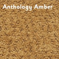 Anthology Amber