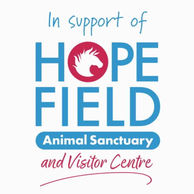 Roomes Charity Month