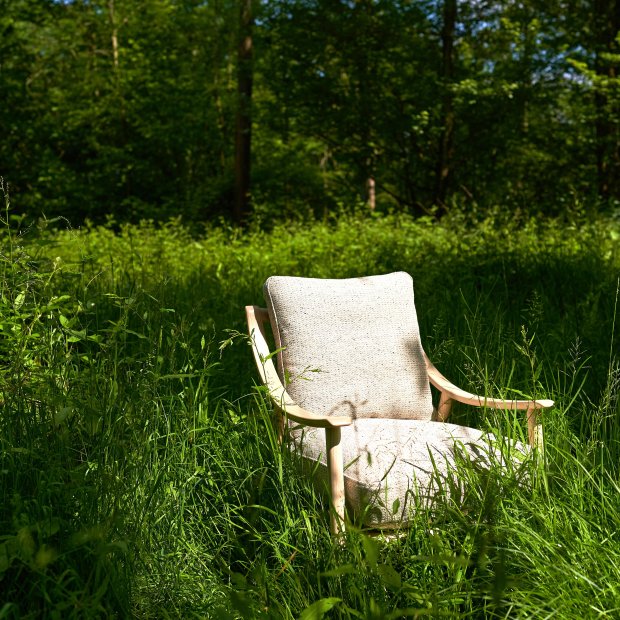 Bringing the Outdoors In: A Guide to Biophilic Design