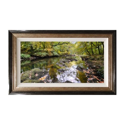 Scenes and Landscapes - Woodland Stream