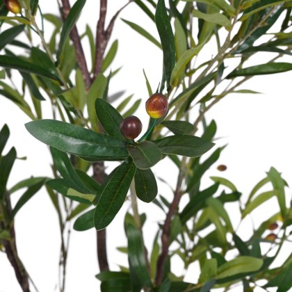 Accessories - Faux Mediterranean Olive Fruit Tree (6ft)