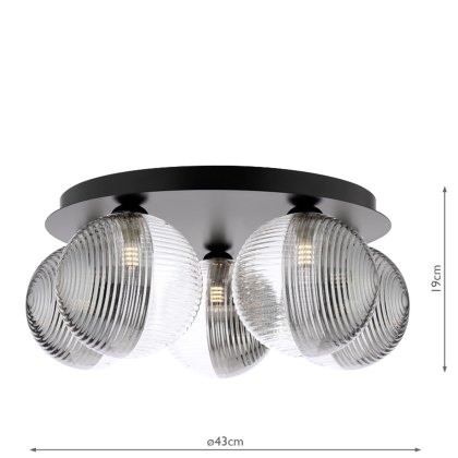 Dar Foley - 5 Light Ceiling Light (Matt Black With Smoked/Clear Ribbed Glass)