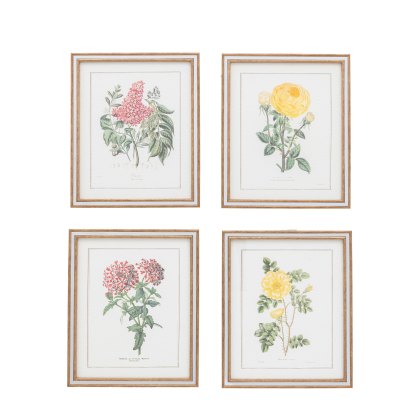 Floral Quartet - Framed Art Set of 4