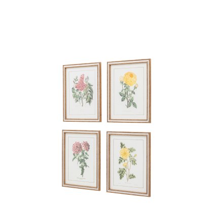 Floral Quartet - Framed Art Set of 4