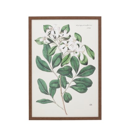 Foliage and Blooms - Framed Art