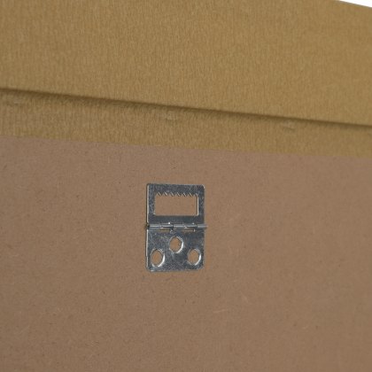 Archie - Framed Canvas