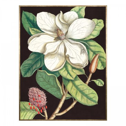 Laurel Tree - Framed Canvas