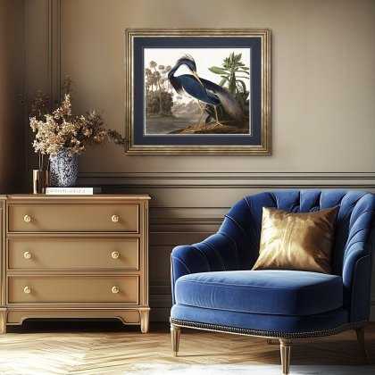Louisiana Heron - Framed Art