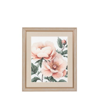 Peony Blooms - Framed Art