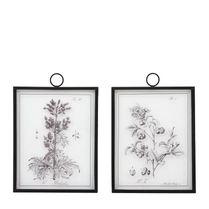 Petiole Art Set of 2 - Wall Art