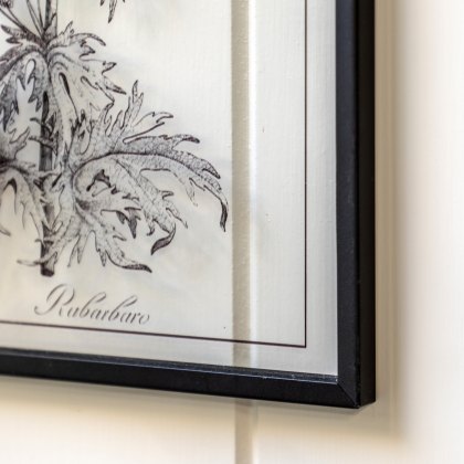 Petiole Art Set of 2 - Wall Art