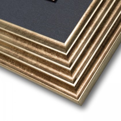 Rosa Nivea - Framed Canvas