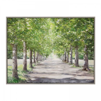 Avenue of Trees - Framed Canvas