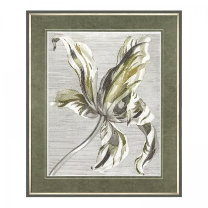 Tulip Bloom - Framed Art
