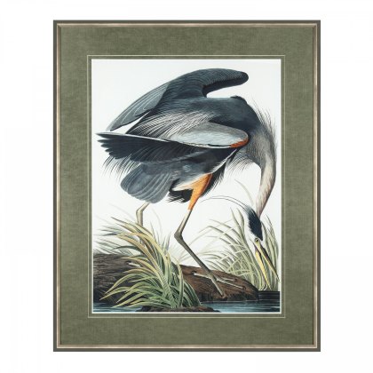 Vintage Blue Heron - Framed Art