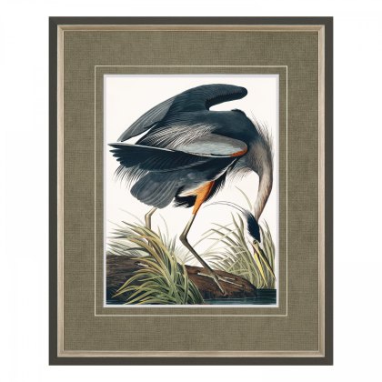 Vintage Blue Heron Small - Framed Art