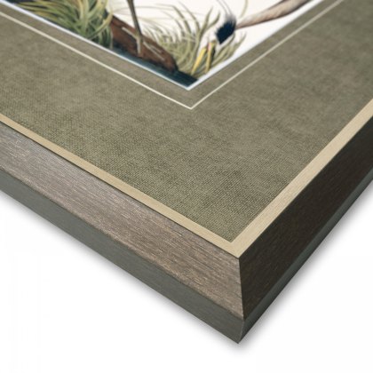 Vintage Blue Heron Small - Framed Art