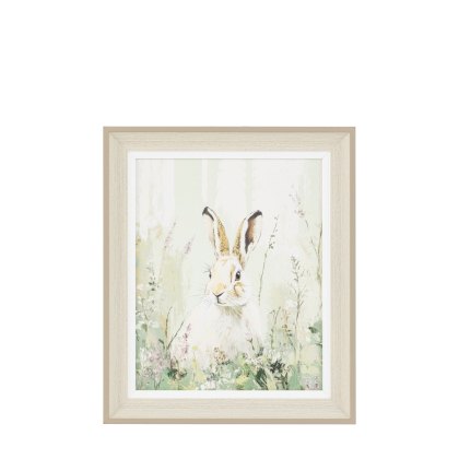 Binky - Framed Canvas