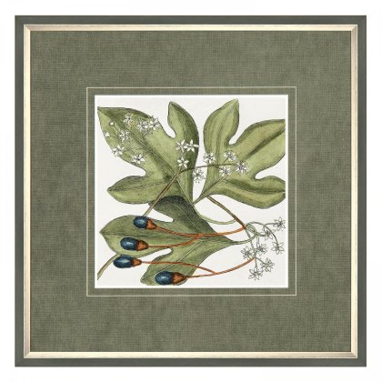 Botanical Beauty - Framed Art