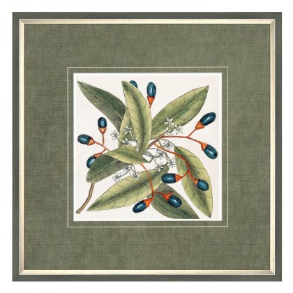 Botanical Style - Framed Art