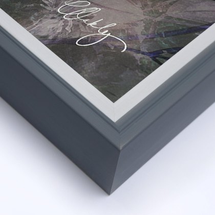 Dougie - Framed Canvas