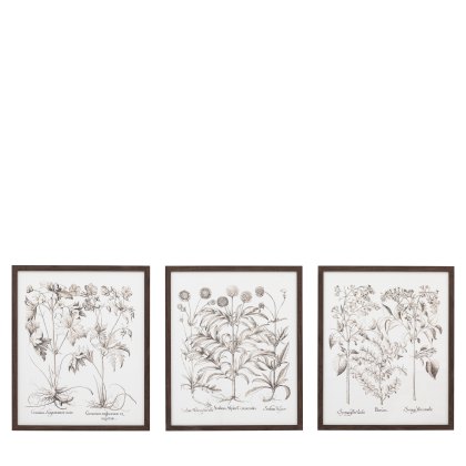 Evergreen - Framed Art Set of 3