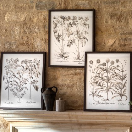 Evergreen - Framed Art Set of 3