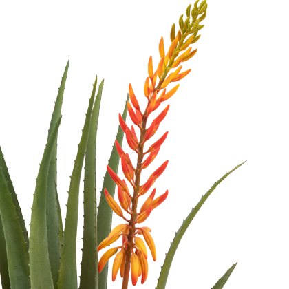 Faux Plants - Aloe Potted Plant with Orange Flower Faux Plants - Aloe Potted Plant with Orange Flower