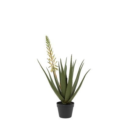Faux Plants - Aloe Potted Plant with White Flower