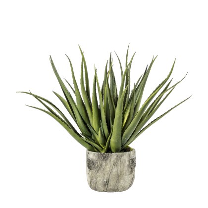 Faux Plants - Aloe w/Bark Effect Pot