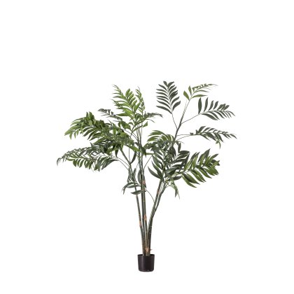 Accessories - Areca Palm Tree (Small)
