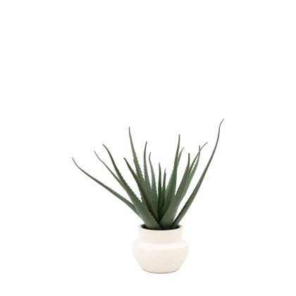 Faux Plants - Faux Aloe Vera in Ceramic Pot