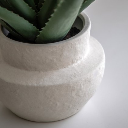 Faux Plants - Faux Aloe Vera in Ceramic Pot