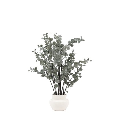 Faux Plants - Faux Eucalyptus in Ceramic Pot Ivory
