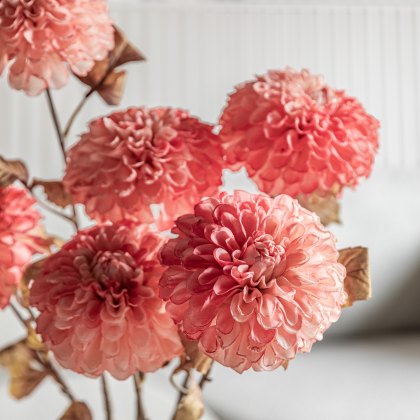 Faux Plants - Stem Dahlia Apricot (6pk)