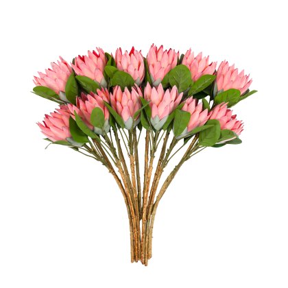 Faux Flowers - Faux Stem Statement Tropical Apricot (12pk)