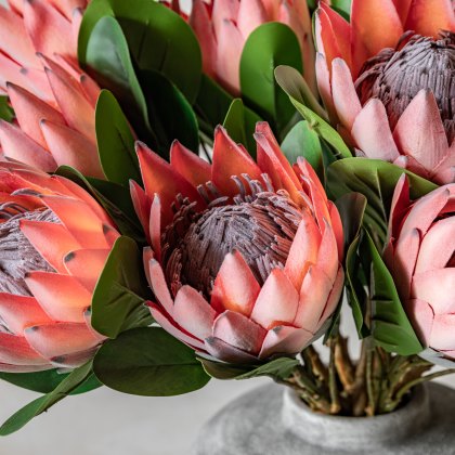 Faux Flowers - Faux Stem Statement Tropical Apricot (12pk)