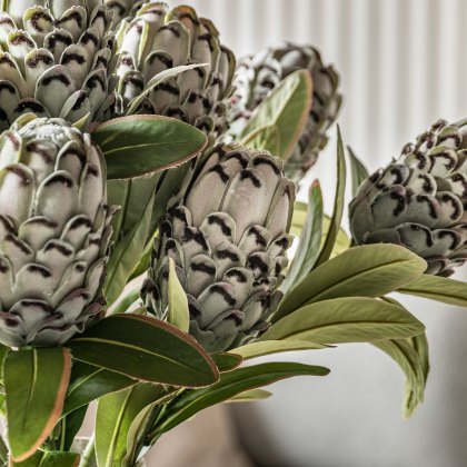 Faux Flowers - Faux Stem Statement Tropical Green (12pk)