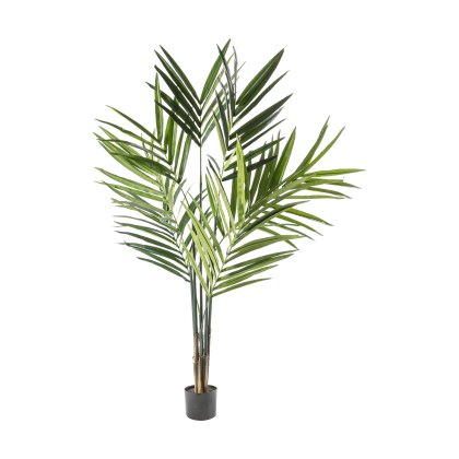 Faux Plants - Kentia Palm Tree