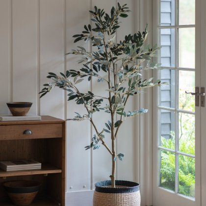 Faux Plants - Olive Tree Large