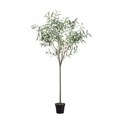 Faux Plants - Olive Tree Small Green H