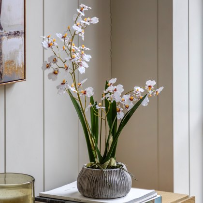 Faux Plants - Orchid White in Low Ceramic Pot Faux Plants - Orchid White in Low Ceramic Pot