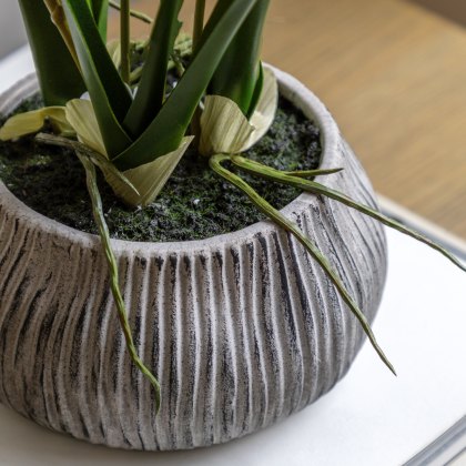 Faux Plants - Orchid White in Low Ceramic Pot