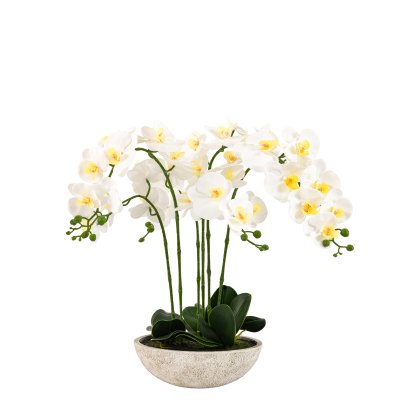 Faux Plants - Oversized Orchid in Cement Pot White