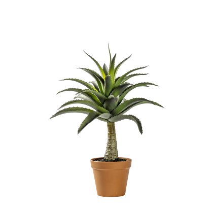 Faux Plants - Potted Agave