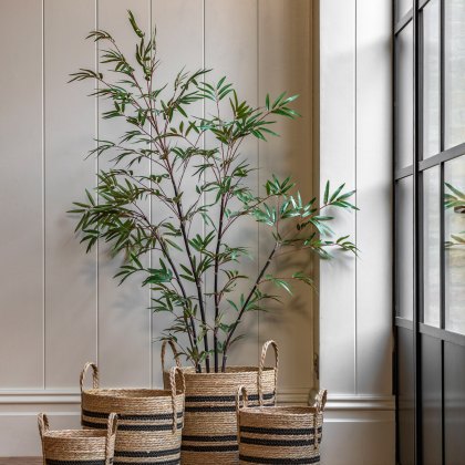Faux Plants - Potted Bamboo Tree 5ft