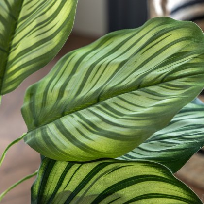 Faux Plants - Potted Calathea Leaf Tree 4ft